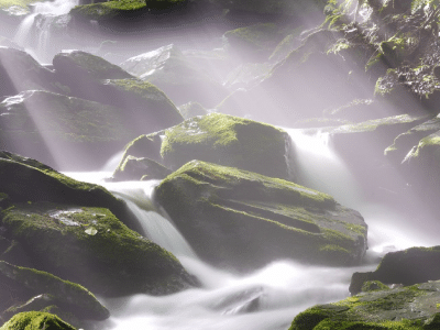 catalogue des formations 2026